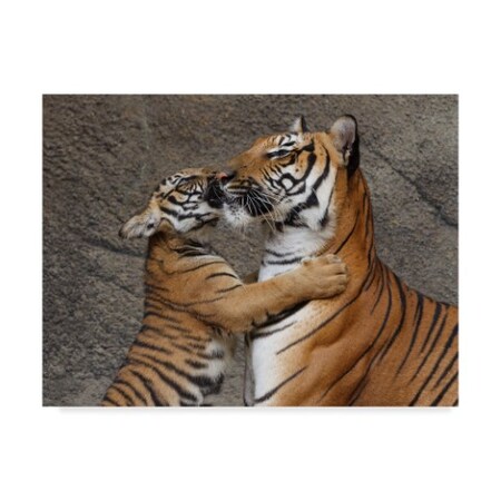 Galloimages Online 'A Kiss For Mom' Canvas Art,18x24